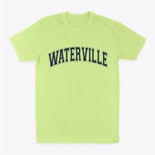 Waterville New York Varsity Classic Dad T-Shirt