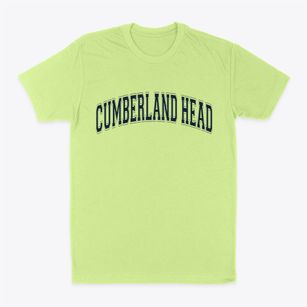 Cumberland Head New York Varsity Classic Dad T-Shirt