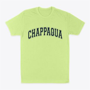 Chappaqua New York Varsity Classic Dad T-Shirt