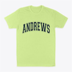 Andrews Indiana Varsity Classic Dad T-Shirt