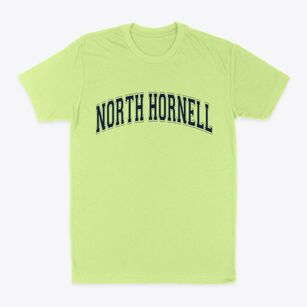 North Hornell New York Varsity Classic Dad T-Shirt