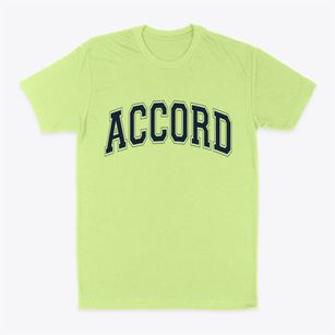 Accord New York Varsity Classic Dad T-Shirt