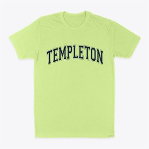 Templeton Virginia Varsity Classic Dad T-Shirt