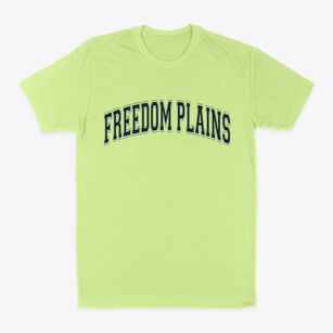 Freedom Plains New York Varsity Classic Dad T-Shirt