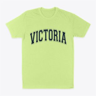 Victoria Illinois Varsity Classic Dad T-Shirt
