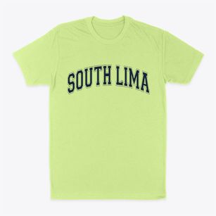 South Lima New York Varsity Classic Dad T-Shirt