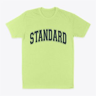 Standard Illinois Varsity Classic Dad T-Shirt