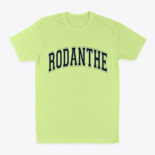 Rodanthe North Carolina Varsity Classic Dad T-Shirt