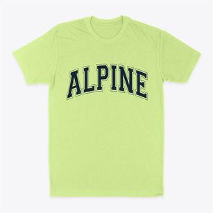 Alpine Arizona Varsity Classic Dad T-Shirt
