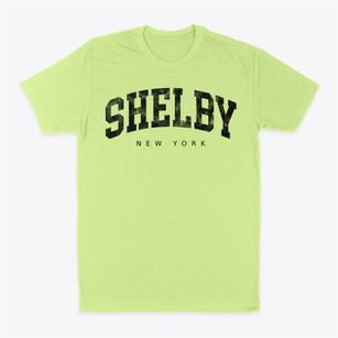 Shelby New York Urban Vibe Classic Dad T-Shirt