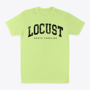 Locust North Carolina Urban Vibe Classic Dad T-Shirt