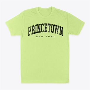 Princetown New York Urban Vibe Classic Dad T-Shirt