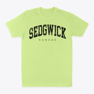 Sedgwick Kansas Urban Vibe Classic Dad T-Shirt