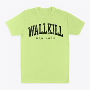 Wallkill New York Urban Vibe Classic Dad T-Shirt