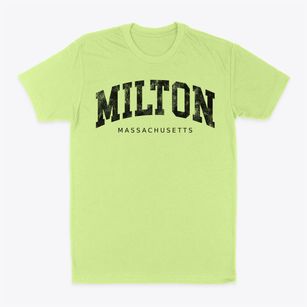 Milton Massachusetts Urban Vibe Classic Dad T-Shirt