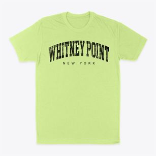 Whitney Point New York Urban Vibe Classic Dad T-Shirt