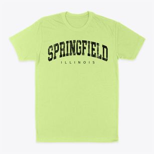 Springfield Illinois Urban Vibe Classic Dad T-Shirt