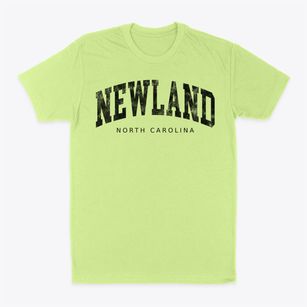 Newland North Carolina Urban Vibe Classic Dad T-Shirt
