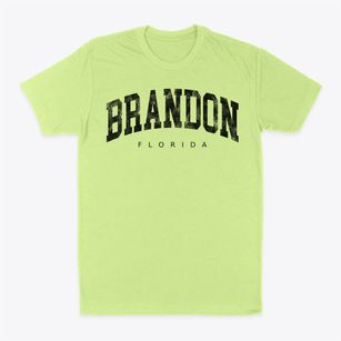 Brandon Florida Urban Vibe Classic Dad T-Shirt