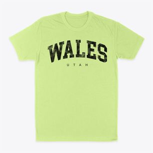 Wales Utah Urban Vibe Classic Dad T-Shirt