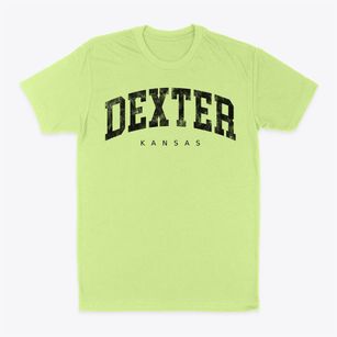 Dexter Kansas Urban Vibe Classic Dad T-Shirt
