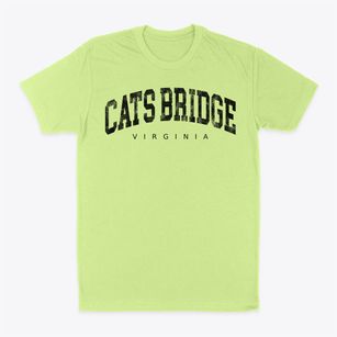 Cats Bridge Virginia Urban Vibe Classic Dad T-Shirt