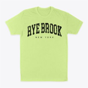 Rye Brook New York Urban Vibe Classic Dad T-Shirt