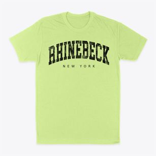 Rhinebeck New York Urban Vibe Classic Dad T-Shirt