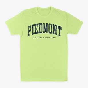 Piedmont South Carolina Urban Vibe Classic Dad T-Shirt
