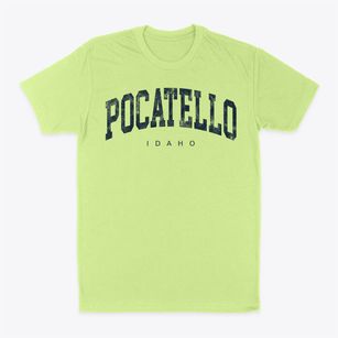 Pocatello Idaho Urban Vibe Classic Dad T-Shirt