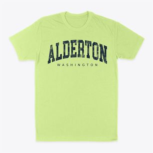 Alderton Washington Urban Vibe Classic Dad T-Shirt