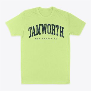 Tamworth New Hampshire Urban Vibe Classic Dad T-Shirt