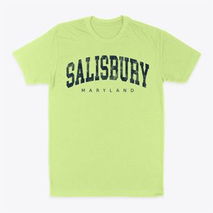 Salisbury Maryland Urban Vibe Classic Dad T-Shirt