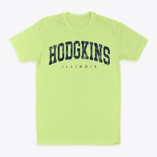 Hodgkins Illinois Urban Vibe Classic Dad T-Shirt