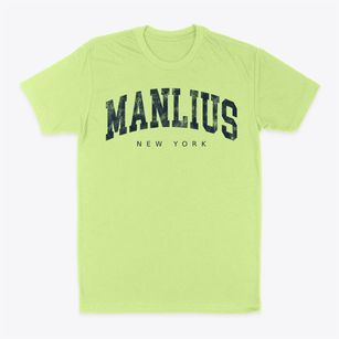 Manlius New York Urban Vibe Classic Dad T-Shirt