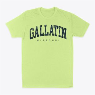 Gallatin Missouri Urban Vibe Classic Dad T-Shirt