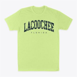 Lacoochee Florida Urban Vibe Classic Dad T-Shirt