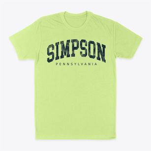 Simpson Pennsylvania Urban Vibe Classic Dad T-Shirt
