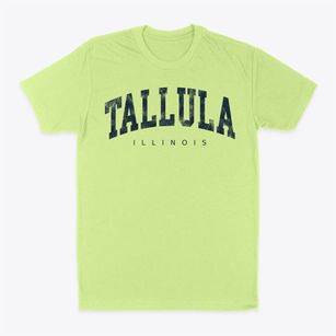 Tallula Illinois Urban Vibe Classic Dad T-Shirt