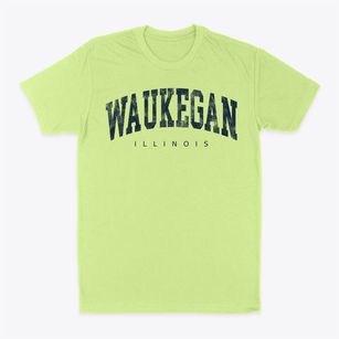 Waukegan Illinois Urban Vibe Classic Dad T-Shirt