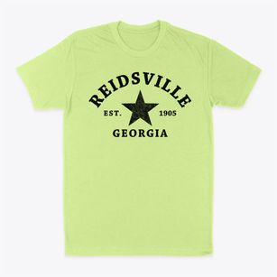 Reidsville Georgia Star Classic Dad T-Shirt
