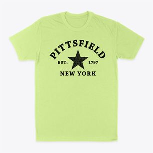 Pittsfield New York Star Classic Dad T-Shirt