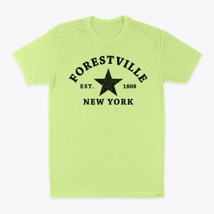 Forestville New York Star Classic Dad T-Shirt