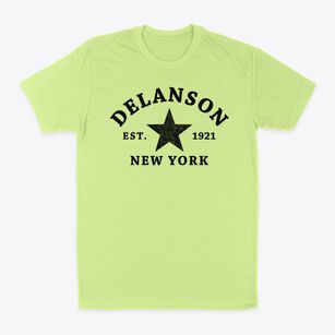 Delanson New York Star Classic Dad T-Shirt