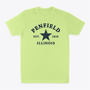 Penfield Illinois Star Classic Dad T-Shirt