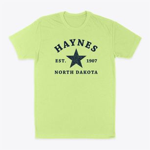 Haynes North Dakota Star Classic Dad T-Shirt