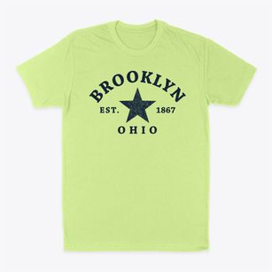 Brooklyn Ohio Star Classic Dad T-Shirt