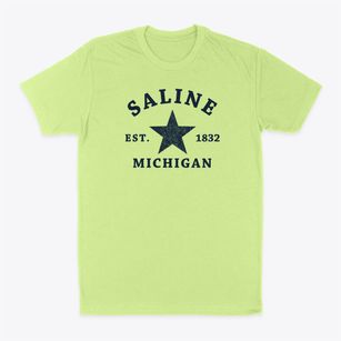 Saline Michigan Star Classic Dad T-Shirt