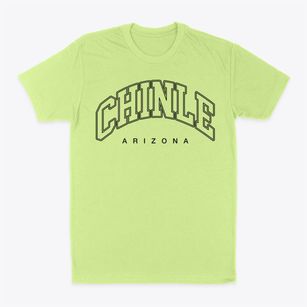 Chinle Arizona Inline Classic Dad T-Shirt