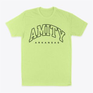 Amity Arkansas Inline Classic Dad T-Shirt